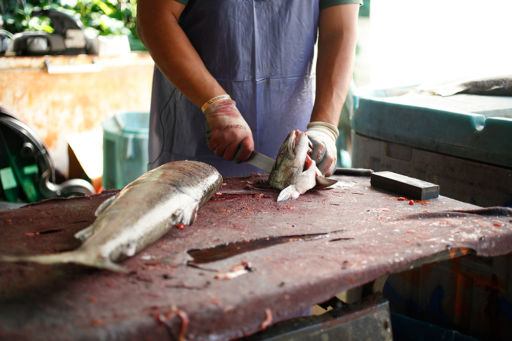 A man is cutting a fish on a brown table. He holds the head of the fish in one hand, and a knife in the other. On the left side, the rest of the fish is lying on the table.