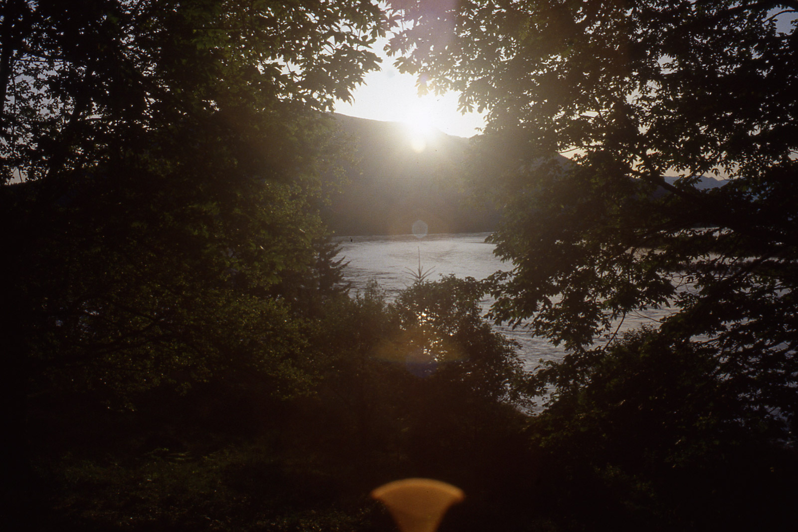 A view of the sun setting over a river with greenery framing the picture.