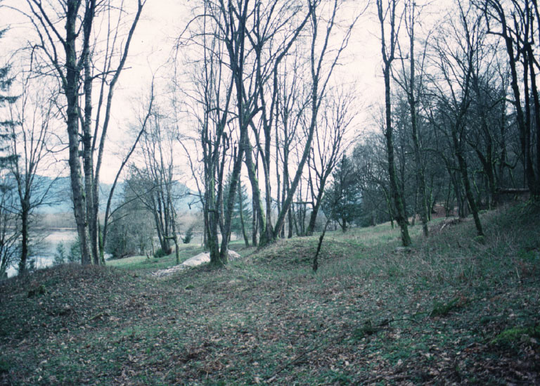 A view of a forested forested riverside terrace. 