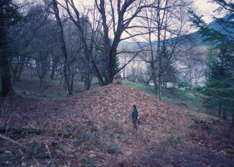 A man stands in front of a large earthen mound, gazing at it.