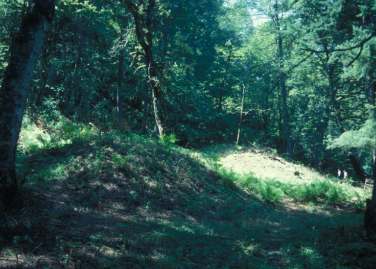An image of a grassy, forested area with a large mound in the center.