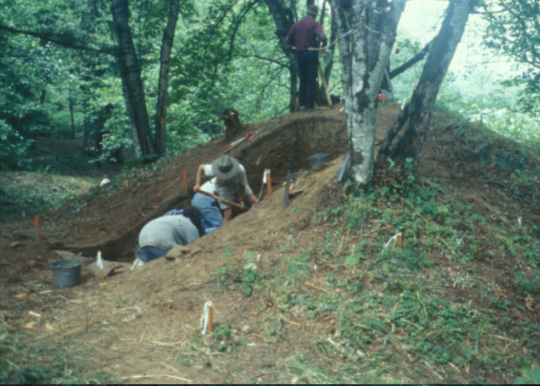 Several people excavate a large earthen mound in the forest.