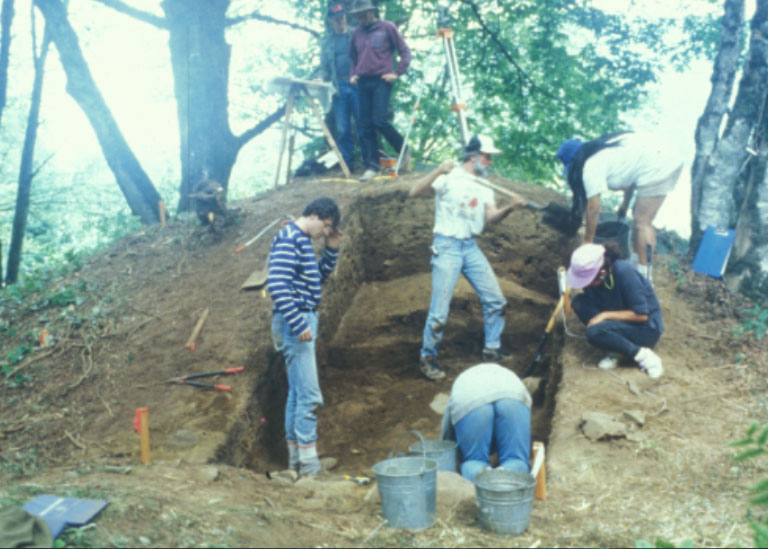 A group of people use shovels and other tools to excavate a large mound in the forest.