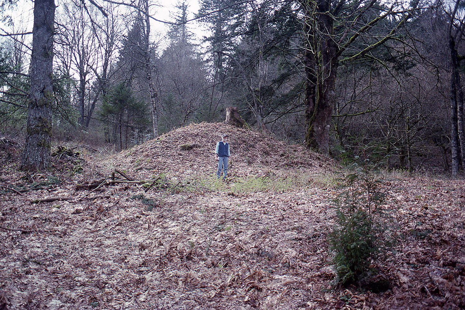 Un homme debout devant un tertre recouvert de feuilles mortes.