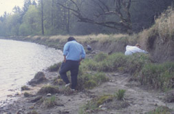 Three people are walking along a riverbank. They look at the ground as they try to find ancient basketry remains.