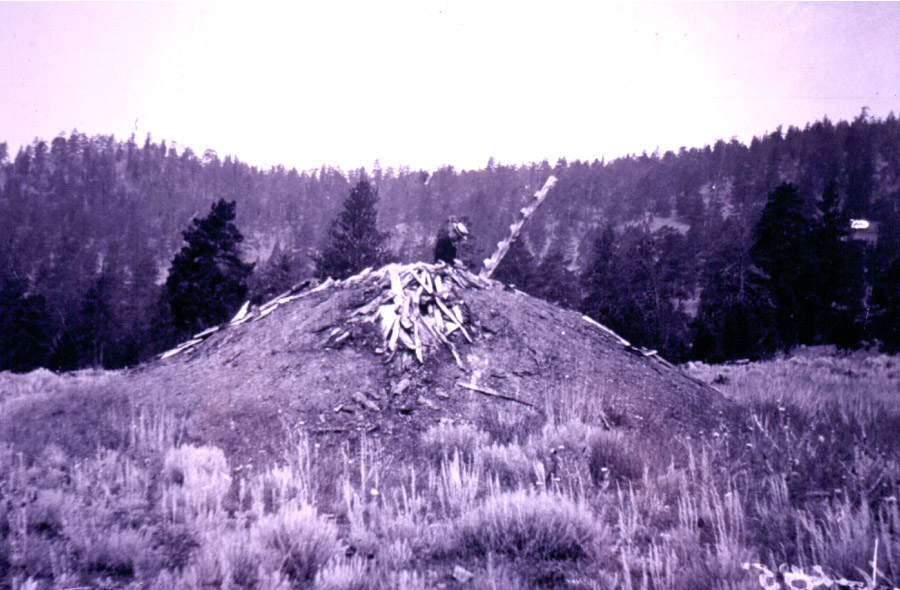 An exterior view of a historic pit house in a field. A ladder pokes out from the top of the pit house.