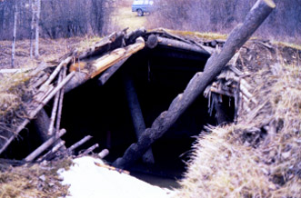An exterior view of a historic pit house in a field. A ladder pokes out from the top of the pit house.