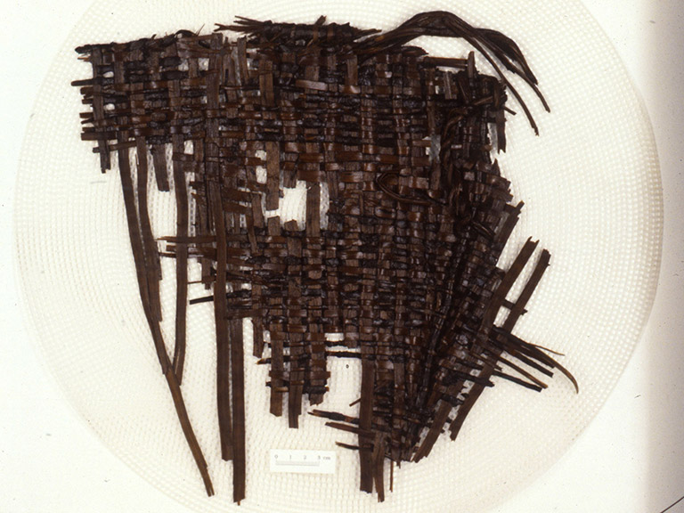 A fragmented basket woven from bark strips. Parts of the rim and body of the basket are still preserved.