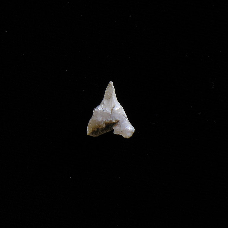 Une pierre blanche minuscule en forme de triangle avec une pointe.