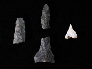 Trois morceaux noirs et un morceau blanc de pierre façonnés en pointes.