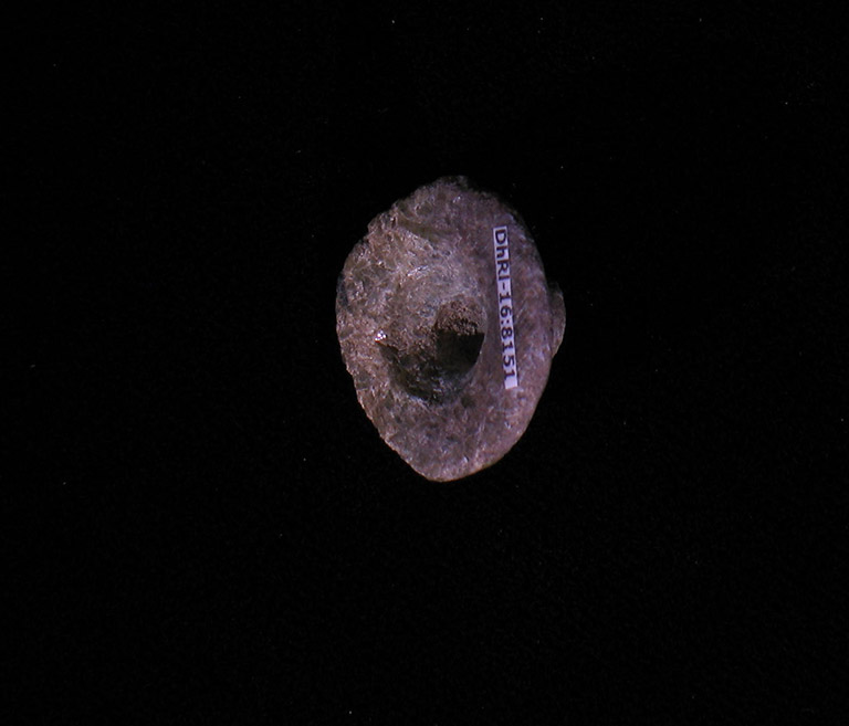 The back of a stone shaped into a circle, with a hole pierced through it.