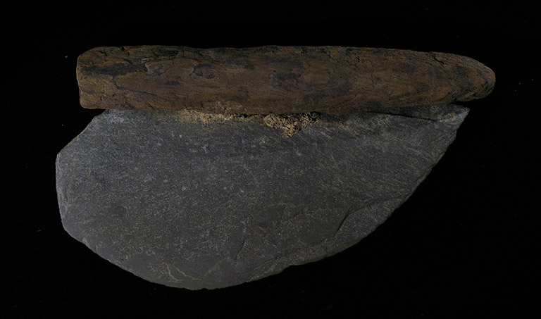 A dark grey stone shaped into a sharpened semi-circle with a wooden handle.