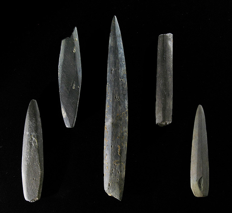 Five pieces of narrow stone are shaped into points. One has the point broken and another does not taper.