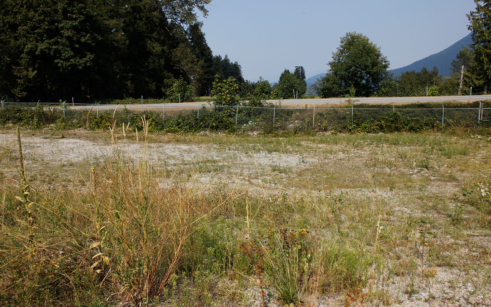 A picture of a field. There is a wire fence, a cement road, and some trees in the background.
