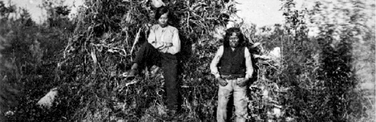 Trois hommes se reposent sur les racines d’un arbre déraciné sur le rivage.